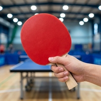 Set Raket Tenis Meja Serat Karbon & Kayu yang Dapat Disesuaikan dengan Layanan Pemotongan Desain Tahan Lama 2 Buah Pegangan Kayu Murni