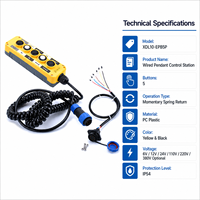 Station de commande suspendue filaire IP65 à 5 boutons avec télécommande à 2 boutons pour unité de puissance hydraulique et équipement de levage XDL10-EPB5P/TB-2