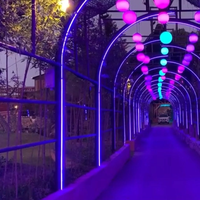 Bande de lumière LED flexible étanche personnalisée prix de la lumière au néon RVB LED Flex Ip68 bande de LED publicité extérieure