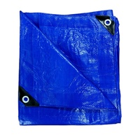 Bâche de protection imperméable, résistante aux déchirures, anti-UV, coupe-vent, 100% polyéthylène PE enduit, pour camping, toiture, abri, stockage