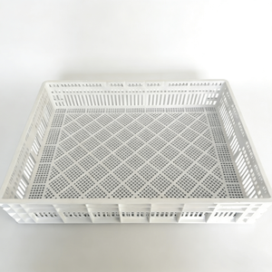 Incubateur automatique pour 150 œufs avec panier d'éclosion en plastique, design moderne, utilisation extérieure, léger et durable - Product Image 4