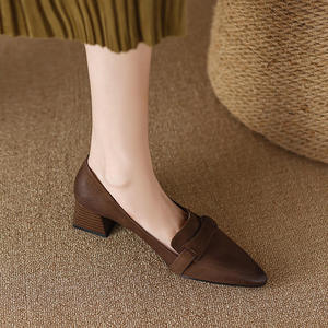 Mocassins à talons moyens épais de style rétro français pour femmes, nouvelle collection printemps-automne, à bout pointu - Product Image 6