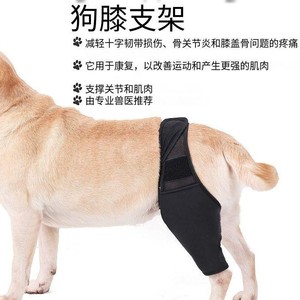 Attelle de soutien pour genou de chien, stabilisateur d'articulation doux et respirant pour chiens âgés, taille SMLXL - Product Image 5