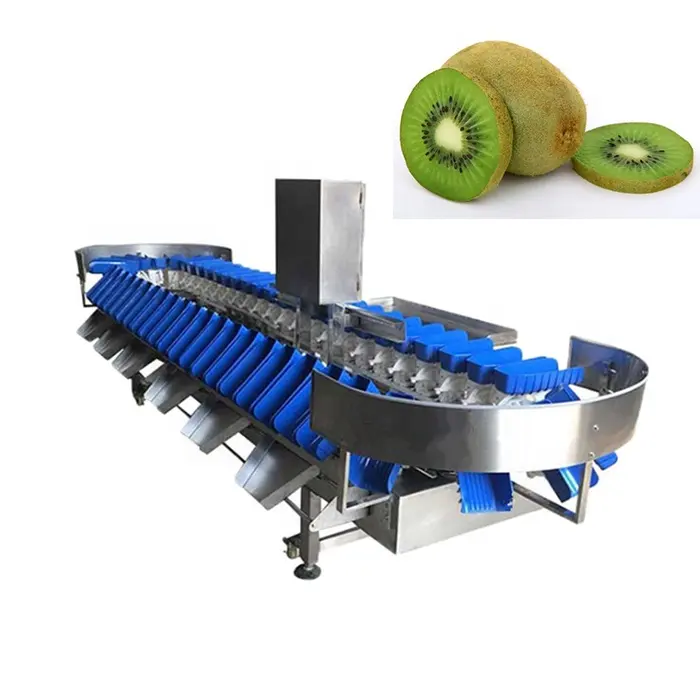 Machine de triage des poissons en acier inoxydable, pour lever le poids des fruits de mer, Kumquat, graduage de l'arête d'herbe