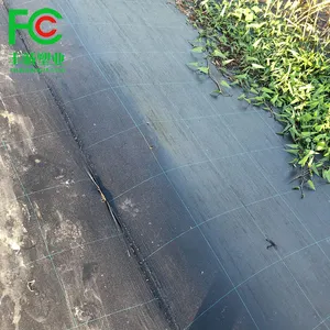 Uitstekende kwaliteit grond cover tarp uit china, duurzaam grond cover netto voor plantaardige, goedkope grond cover waterdicht