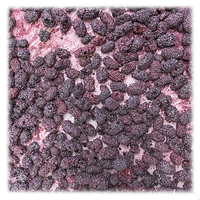 China Natuurlijke Gedroogde Moerbeibessen Hele met Suiker Fruitchips HACCP/KOSHER/BRC Gecertificeerd