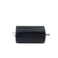 Moteur DC sans noyau 22 mm 12V 24V 8379 tr/min à faible vibration pour appareil de beauté, pistolet de massage, ventilateur portable
