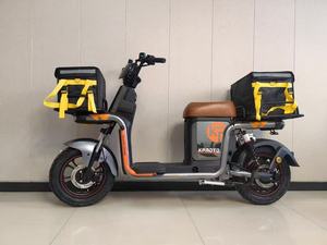 Bicicleta Eléctrica de Larga Distancia para Adultos con Motor Personalizado de 500W/800W y Batería de Plomo-Ácido de 60V - Product Image 6