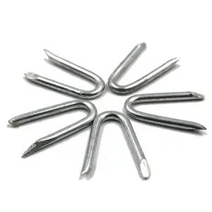 High quality polished eletrical galvanized or hot dipped galvanized u type nails / fence staples / u shaped nails