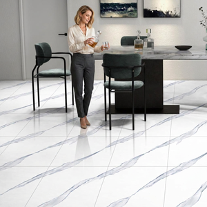 Mecedonia Metallic Finish 24x24inch Polished Porcelain Tiles Contemporary Interior Floor Design 8mm - Product Image 1