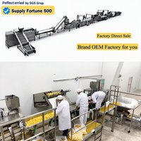 Industriële productielijn voor diepvriesfrieten en zoete aardappelchips, 1000 kg/uur, met instelbare snijdikte