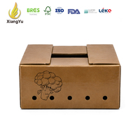 Waxdip gecoate golfkartonnen groenteverpakking, waterdichte doos voor broccoli, verse producten, koude opslag, verzending, leverancier
