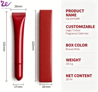 Gloss à lèvres liquide Lilywild, aromatisé, végan, brillant, maquillage de luxe, hydratant et longue tenue, vente en gros, personnalisable avec logo