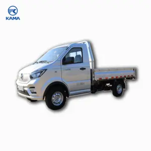2024 Ev Car Small Commercial Vehicles Kama Ruihang Evx1 4*4 Load 2T City Transport 2-Row Seat Small Truck