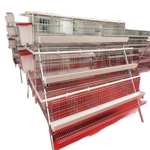 Batería de jaula comercial para pollos, equipo para <span class=keywords><strong>gallinas</strong></span> ponedoras, gallinero para 96-500 pollos - Product Image 3