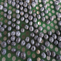 Ce Gecertificeerde Bosbessengrootte Sorteermachine/Bosbessen Sorteermachine Op Diameter