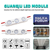 Modules LED DC12V 6020 SMD2835 IP65 Blanc Chaud 1.2W Multicolore pour Enseignes Lumineuses Extérieures et Publicité