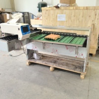 Machine automatique de triage des œufs pour élevages, capacité 15000 œufs/heure, moteur et boîte de vitesses en acier inoxydable 304, pour couvoirs avicoles