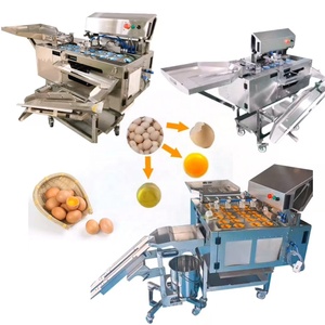Machine à casser les œufs, <span class=keywords><strong>prix</strong></span> de la machine à briser les œufs, briseur d'œufs liquides pasteurisés - Product Image 5