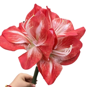 ดอกคลีเวียเทียม LO-611 ขายส่ง ขนาด 64 ซม. ก้านดอกสัมผัสเหมือนจริง ให้ความรู้สึกชุ่มชื้น เหมาะสำหรับตกแต่งงานอีเว้นท์และบ้าน - Product Image 6
