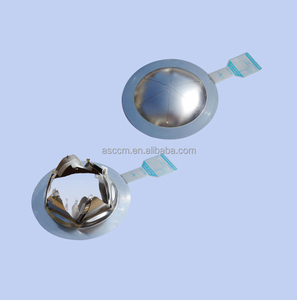 Burst Discs Ventil Burst ing Disk Rupture Disc Sicherheits ventil Edelstahl Preis - Product Image 1