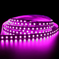 Lampu Strip LED Fleksibel SMD2835 12V 8mm 5M 120LED/M IP20 CE RoHS untuk Interior Rumah dan Lanskap, Warna Pink