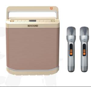 Haut-parleur karaoké portable <span class=keywords><strong>Pioneer</strong></span> 151W 9000mAh Bluetooth 5.0 avec deux microphones sans fil, vente chaude - Product Image 1