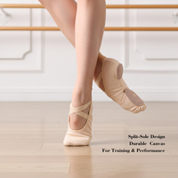 Zapatillas de Ballet de Lona con Suela Partida y Correa Elástica Sin Cordones para Niños, Varios Tonos de Piel, Zapatos Profesionales para Danza Ballet