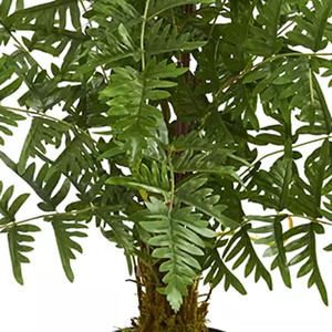 Cây dương xỉ nhân tạo trong chậu nhựa đen-tán lá xanh với những chiếc lá dài, nĩa trên nền trắng đặc - Product Image 3