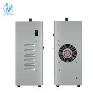 Générateur d'ozone eau-air 2025 40g/h 220V Faible consommation Purificateur d'eau d'ozone pour <span class=keywords><strong>piscine</strong></span> Water Crown - Product Image 2