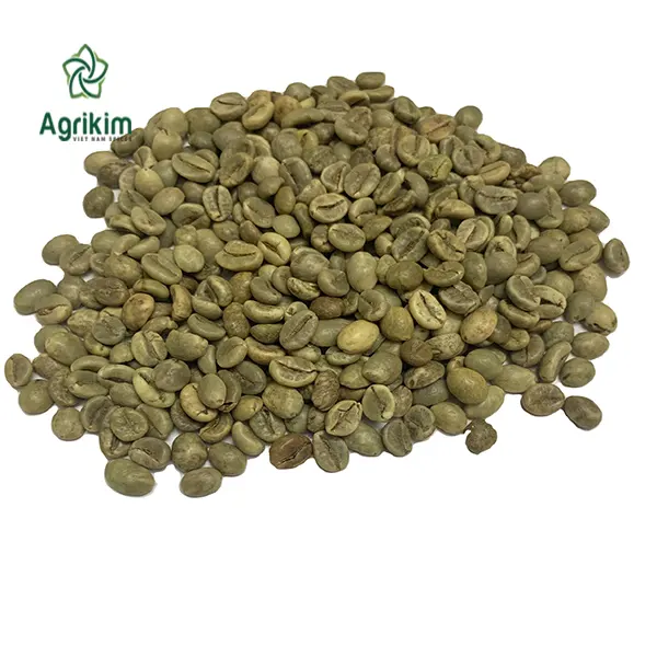 믿을 수 있는 공급자 + 84 363 565 928 에서 제일 가격을 가진 베트남에서 완전히 증명된 ROBUSTA 녹색 커피 콩 근원