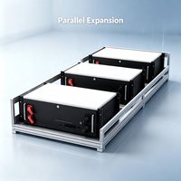 Batterie au phosphate de fer et de lithium 51,2 V 5,12 kWh 10,24 kWh 6000+ cycles RS485 CAN Rack ESS