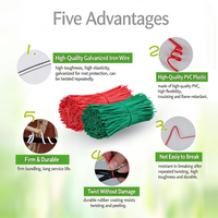 Attaches de jardinage oblates 15/20CM, attaches torsadées réutilisables en fil de fer pour plantes, lianes grimpantes multifonctions, fil de fixation enduit