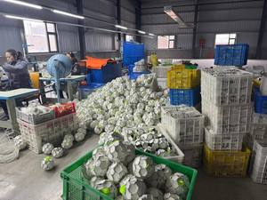 [Toprate] Ballon de jeu classique pour animaux de compagnie en PU écologique, sangle en nylon, clochette, 32 panneaux cousus, non toxique, résistant aux morsures, facile à nettoyer - Product Image 3