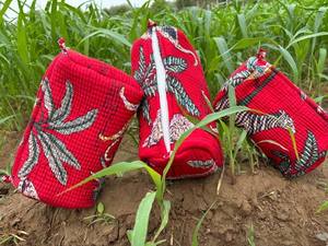 Juego de 3 estuches impermeables, bolsa acolchada, bolsa de maquillaje, bolsa de aseo de algodón - Product Image 3