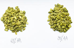 Trung Quốc bán buôn hữu cơ nguyên vỏ màu xanh lá cây GWS hạt dưa Hạt giống bí ngô - Product Image 6