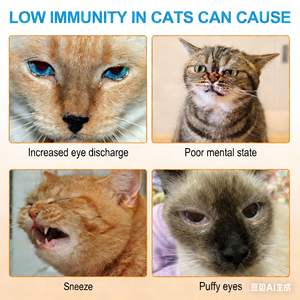 Poudre pour la santé immunitaire et respiratoire des chats, complément naturel approuvé par les vétérinaires, glycérine végétale aqueuse, sans danger pour les chatons et les chats adultes - Product Image 3