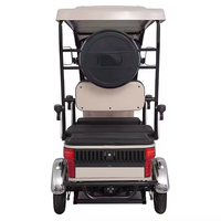 Quadricycle électrique Holladay 4 places 60V, mini quad électrique urbain 800W, voiturettes de golf pour adultes