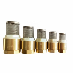 Nữ chủ đề đồng thau đồng đồng <span class=keywords><strong>Y</strong></span> loại mùa xuân nạp kiểm tra van - Product Image 6