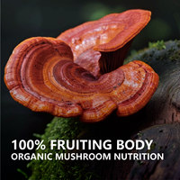 Emballage de marque privée 10 en 1 20 en 1 Poudre de champignon Reishi biologique Champignon Reishi pur