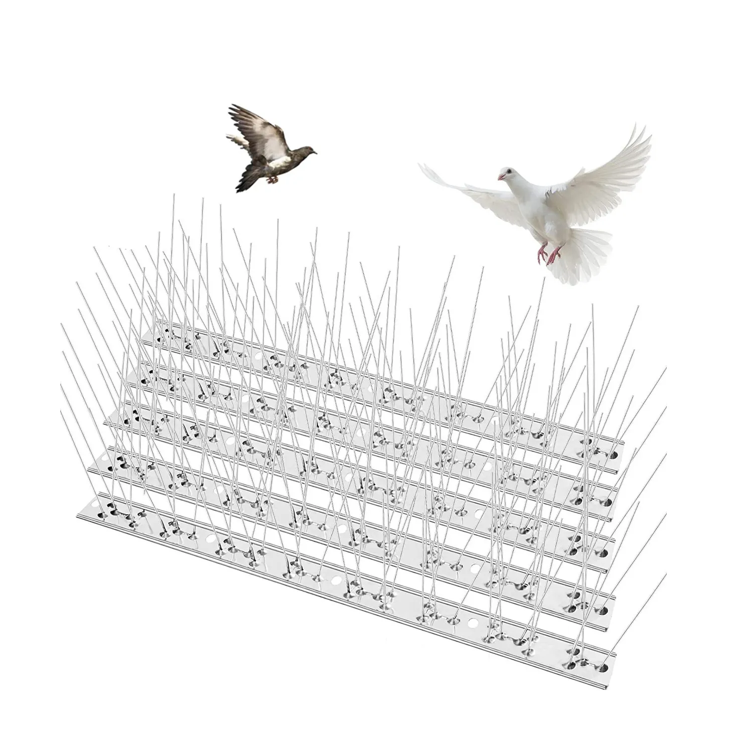 Best Sellers Product 304 stainless steel Anti Pigeon bird spike for bird control