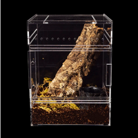 Vente en gros de vitrine d'exposition pour reptiles en acrylique transparent, de haute qualité, design personnalisé, enclos pour reptiles, boîte d'élevage pour araignées sauteuses