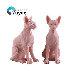 Modèle d'entraînement en silicone pour tatouage Chat Sphynx, texture de peau réaliste, courbes corporelles, pour artistes tatoueurs et débutants, outil de pratique - Product Image 1