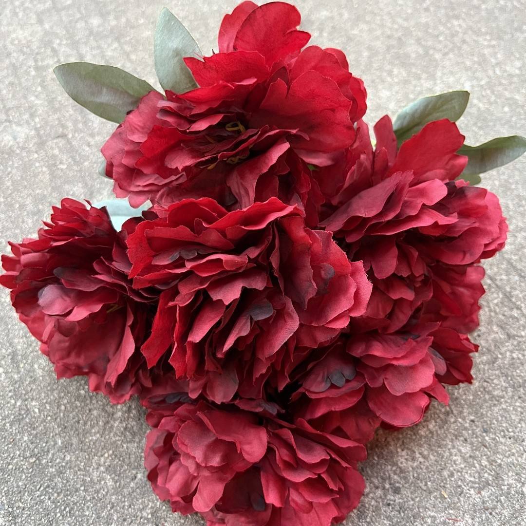 9 jia yin peonía roja