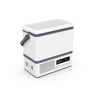 Nuovo Design portatile 12V frigorifero auto Cooler Box 12L campeggio all'aperto frigo Freezer <span class=keywords><strong>per</strong></span> camion all'aperto - Product Image 5