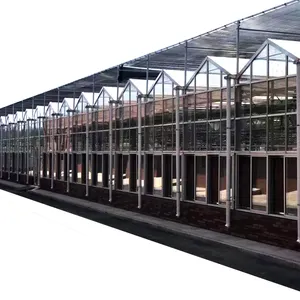 Venlo-invernadero agrícola de vidrio, sistema hidropónico para hierbas y tomate, fácil de instalar