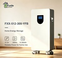 Batterie murale LiFePO4 15,36 kWh 51,2 V 300 Ah à cycle profond rechargeable pour système de stockage d'énergie solaire 15 kWh Powerwall
