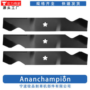 Cuchillas de Repuesto para Cortacésped AYP187254 187256 532187256, Cuchilla Estándar para Usuarios de América del Norte - Product Image 2