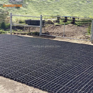 Pavés d'herbe en plastique HDPE robustes pour le verdissement de la sortie de feu de parking - Product Image 4