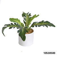 Petit Bonsaï Artificiel Plante en Pot Plante de Table Artificielle Plante de Bonsaï Artificielle en PE Écologique Durable et Réaliste de 30 cm pour Aménagement Paysager